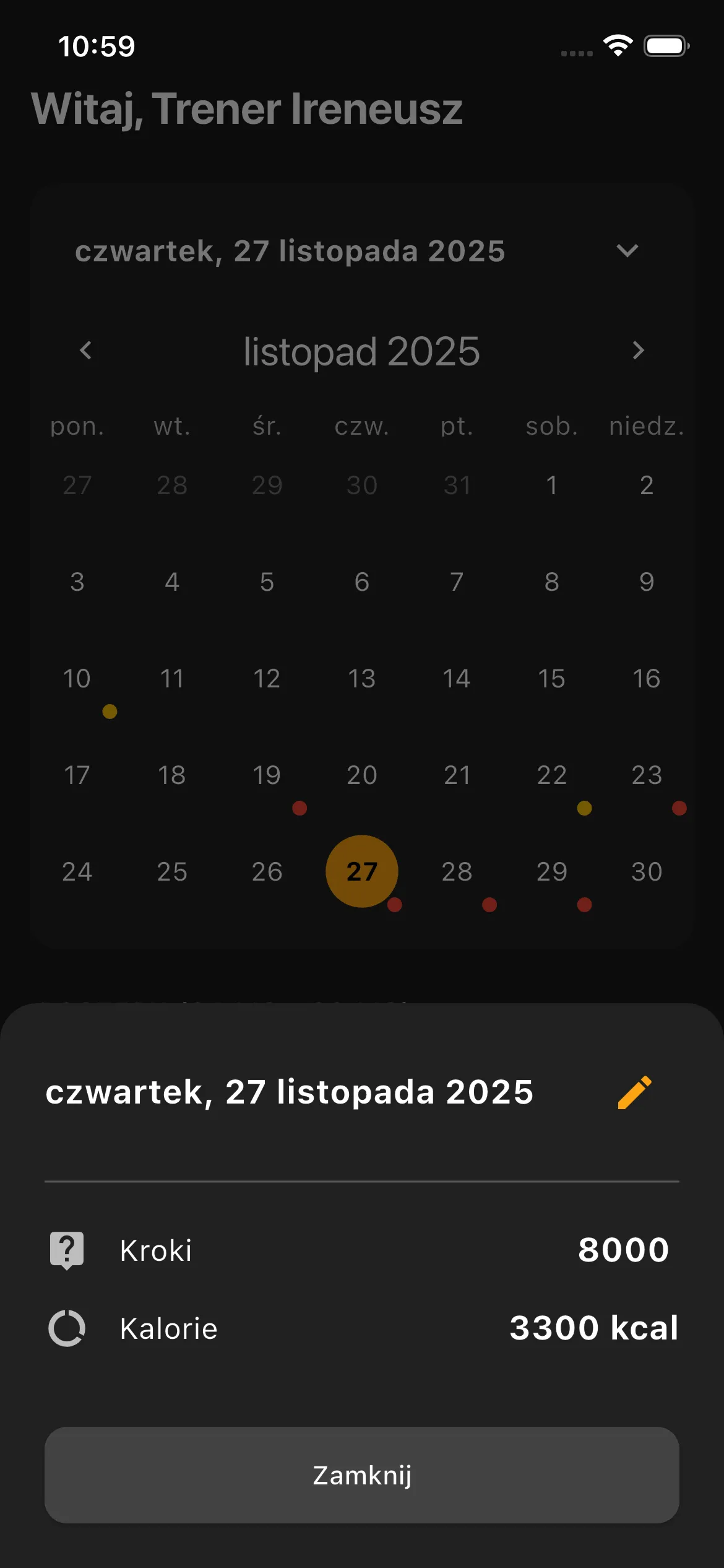 Interaktywny kalendarz dla podopiecznego z podglądem na nawyki i treningi