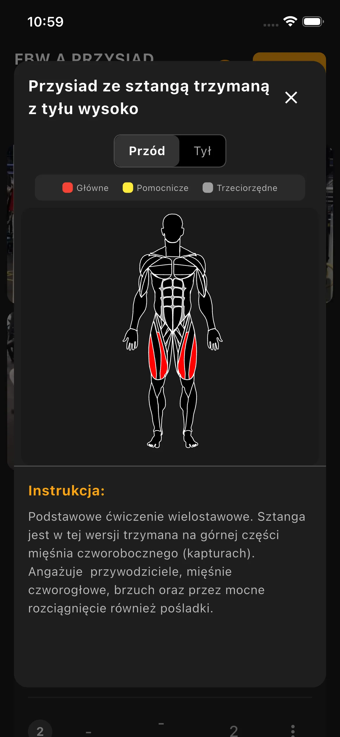 Interaktywny podgląd mięśni zaangażowanych w pojedynczym ćwiczeniu